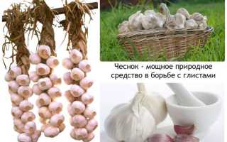 Народные лекарства от глистов