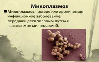 Как можно заразиться микоплазмой