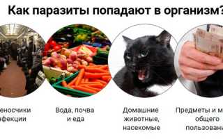 Глея тоник отзывы врачей