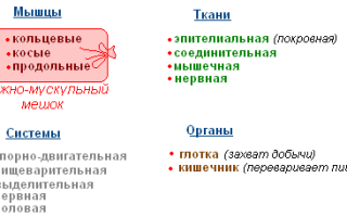 Планария белая среда обитания