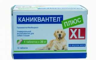 Каниквантел для щенков инструкция