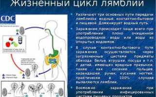 Паразиты лямблии у детей